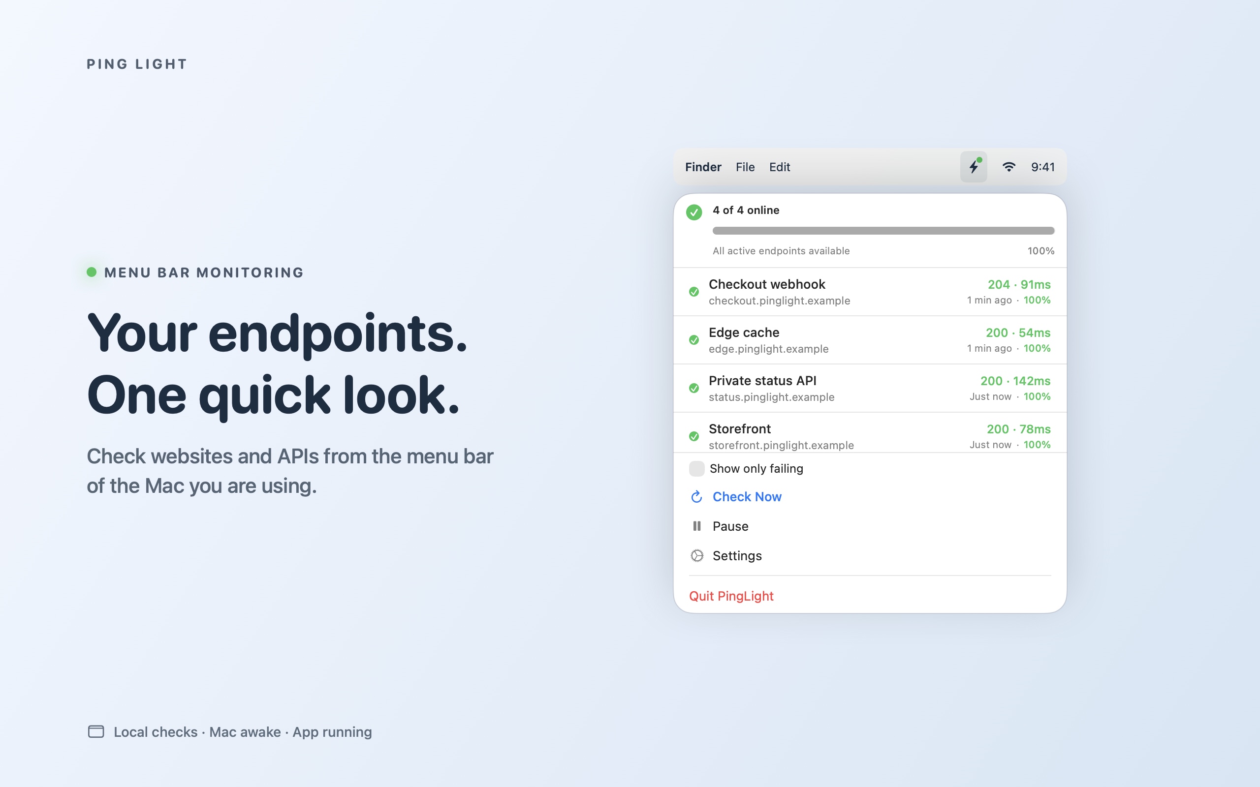 Ping Light's native menu-bar view showing example endpoint checks, status codes and response times